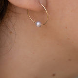 Holiday Rosé Pearl 14K Gold Filled Hoop Earrings