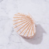 Eco-Friendly Scallop Shell Hair Clip Claw Large