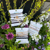 chicago traveler hair ties + bracelets