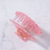Eco-Friendly Scallop Shell Hair Clip Claw Large
