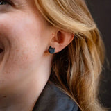 cat studs