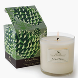 roland pine large soy candle